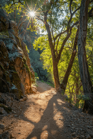 (gu)ҹ@(yng)͸^(gu)(sh)~ɭС