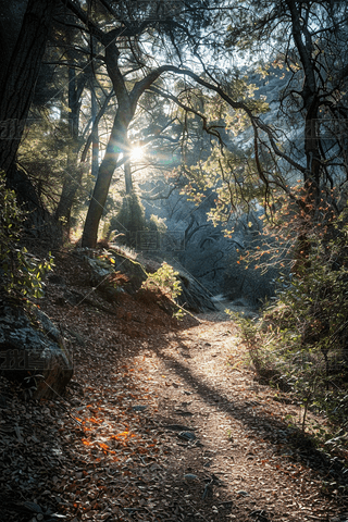 (gu)ҹ@(yng)͸^(gu)(sh)~ɭС