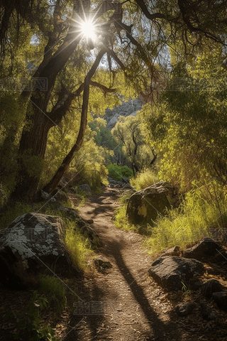 (gu)ҹ@(yng)͸^(gu)~ɭС