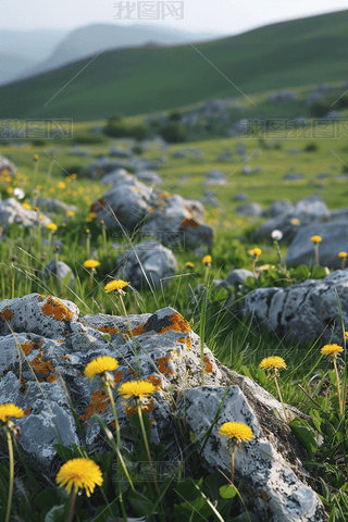 L(zhng)MݵɽϵĎrʯѹӢ