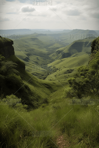 Oliviershoekͨ픲-{ҕҰ