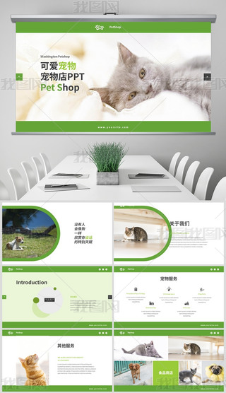 GɫИI(y)Ft(y)(dng)B(ti)PPTģ