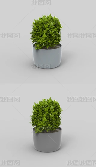 辰ľϬţ3Dģ