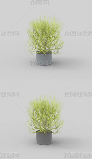 辰С~Ϭţ3Dģ