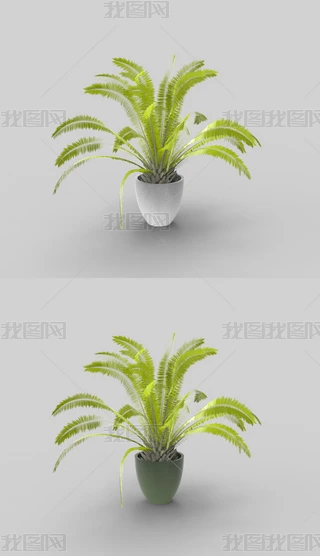 ֲ3dmģ