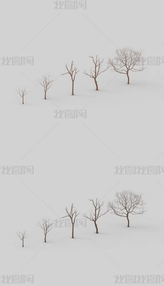 ֦Ϭţ3Dģ