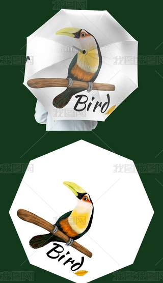 ͨLLBDOӋ