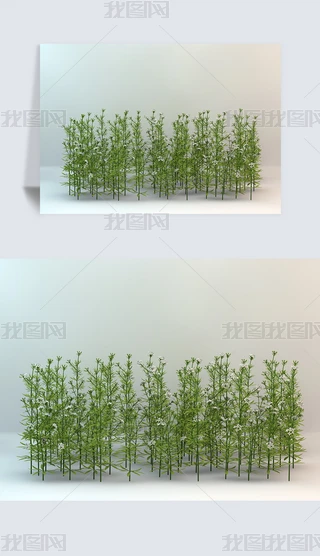 ҰƺҰݾGɫֲC4DģԪ