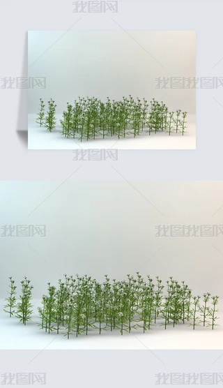 СƺҰݾGɫֲC4DģԪ