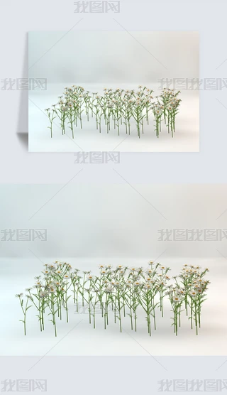 ɫջƺҰݾGɫֲC4DģԪ