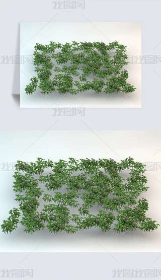 ~ݲƺҰݾGɫֲC4DģԪ2