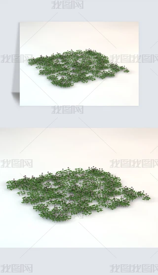 ~ݲƺҰݾGɫֲC4DģԪ