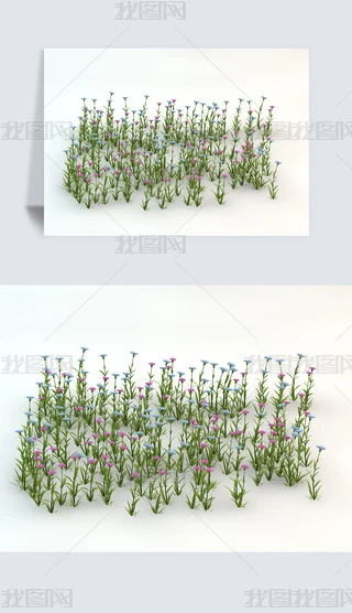 ɫСݵҰݾGɫֲC4DģԪ