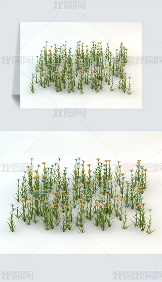 SɫСݵҰݾGɫֲC4DģԪ