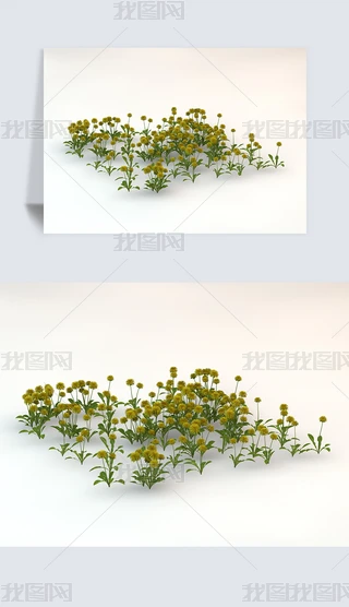 һƬSɫѹӢGɫֲC4DģԪ