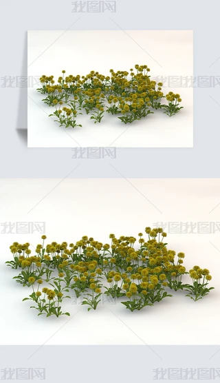 SѹӢݵؾGɫֲC4DģԪ