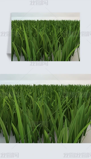 ƺҰݾGɫֲC4DģԪ10