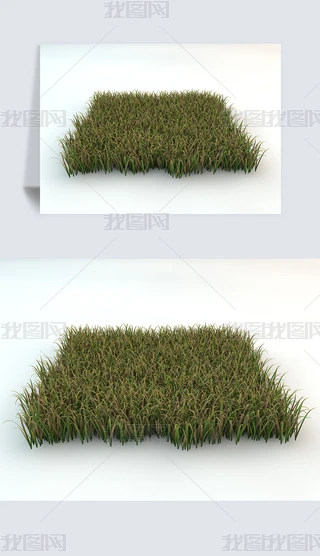 ݵزƺҰݾGɫֲC4DģԪ2