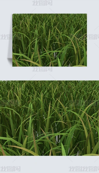 ݵزƺҰݾGɫֲC4DģԪ