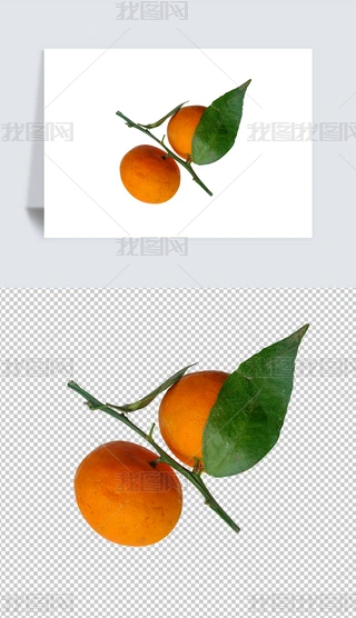 rˮӌĔzӰpngز