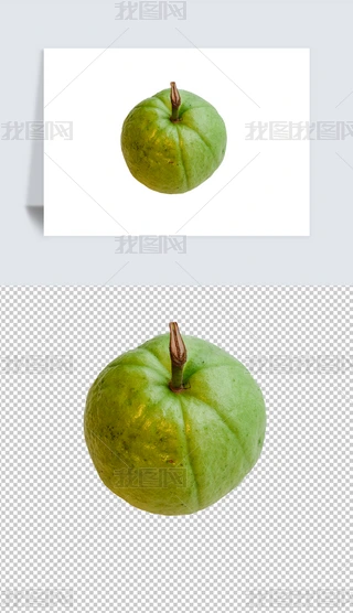 ʯĔzӰpng⓸ز