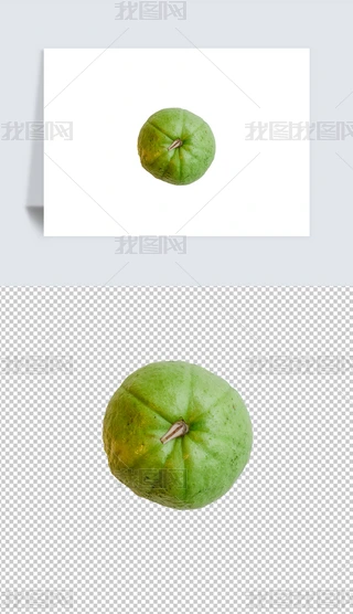ʯĔzӰpng⓸ز
