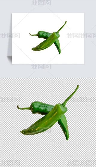 ĔzӰpng⓸ز