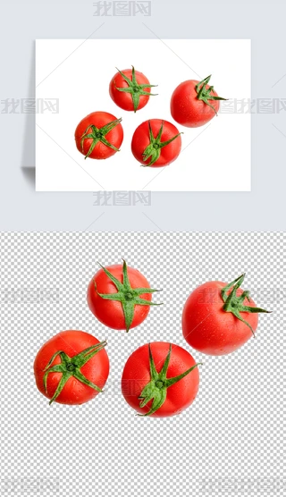 tĔzӰpng⓸ز