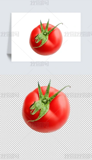 tĔzӰpng⓸ز