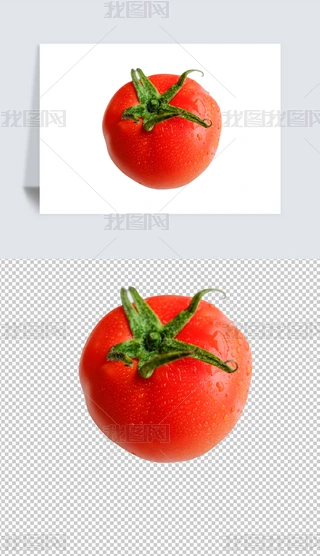 tĔzӰpng⓸ز