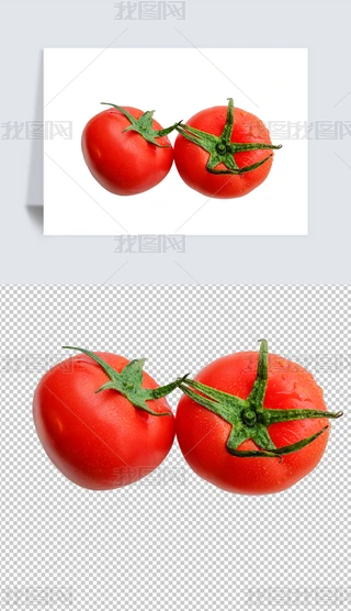 tĔzӰpng⓸ز