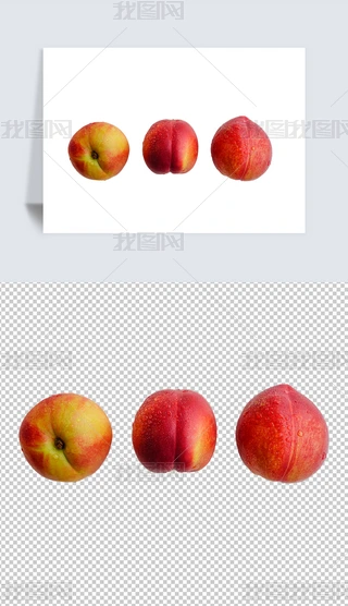 ҌĔzӰpng⓸ز