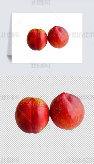 ҌĔzӰpng⓸ز