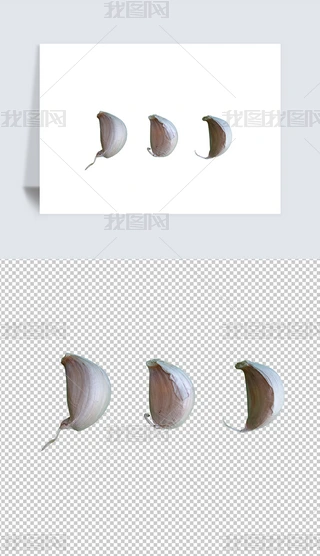 ⌍ĔzӰ⓸pngز