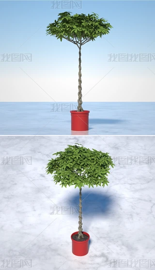 l(f)ؔ(ci)Gֲ辰C4DģOCȾ