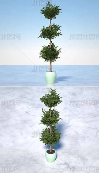 Gֲ辰ԹļC4DģOCȾ8