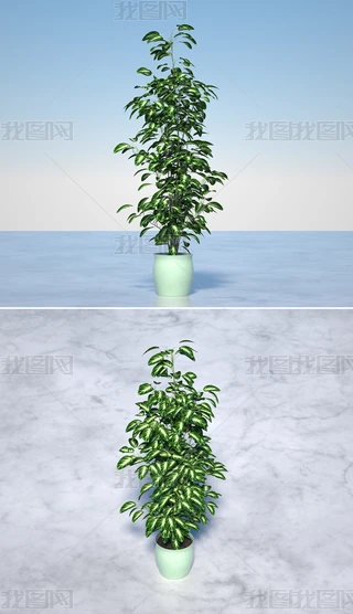 Gֲ辰ԹļC4DģOCȾ7