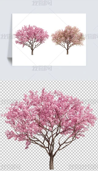 (sh)ęѻֲز