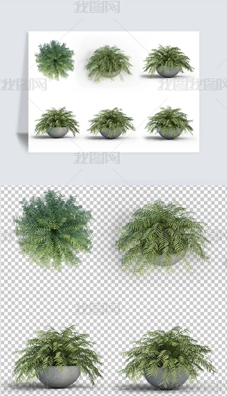 (sh)ľGɫާPd辰ز