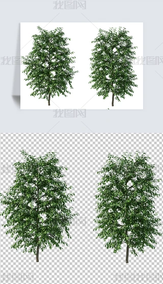 (sh)ğᎧŌֲز