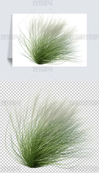 zӰ(sh)īëСز