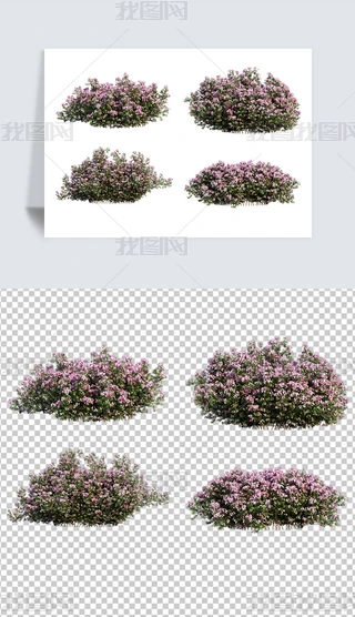 匍(sh)ʯľGֲGز