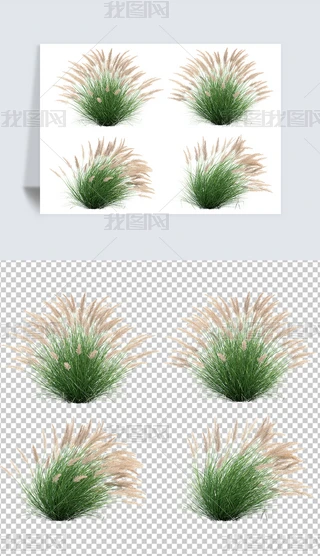 匍(sh)yСݾGpngز