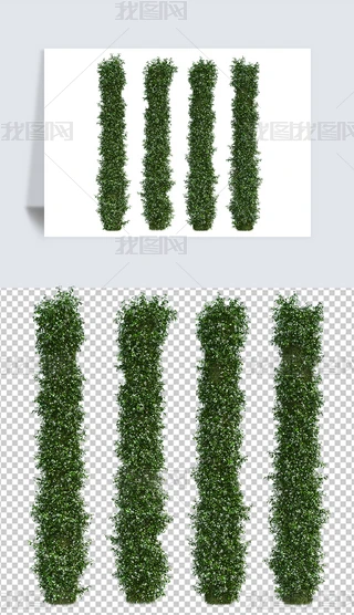 匍(sh)ėlGɫ׻پGֲbز