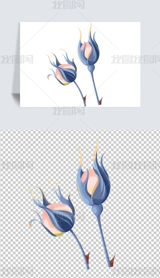 ʸLPNG
