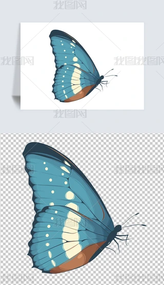 ͨLɫPNG