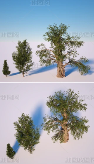 ̫ꖰؾGɫֲľC4DģԪ