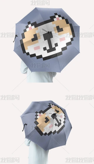 ͨL(fng)W(wng)tL»Сخ̫ꖂD
