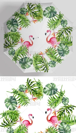 WֲD