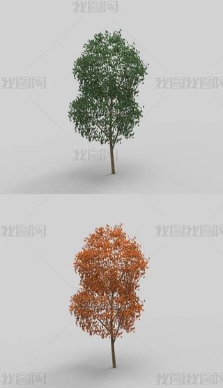 Ϭţ3Dģ